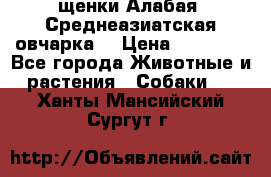 щенки Алабая (Среднеазиатская овчарка) › Цена ­ 15 000 - Все города Животные и растения » Собаки   . Ханты-Мансийский,Сургут г.